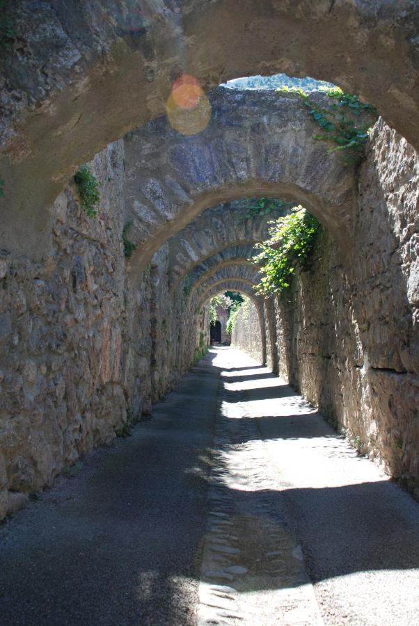 Appartement De Charme Au Coeur D Une Cite Medievale فيلفرانش دو كونفلينت المظهر الخارجي الصورة